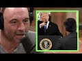 Joe Rogan on Trump & Jim Acosta