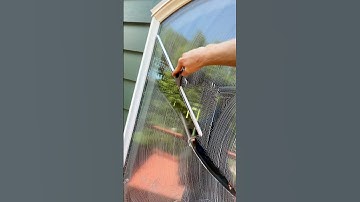 Scrubbing and Squeegeeing all summer long 🪟☀️ #windowcleaning #foryoupage #satisfying #squeegee