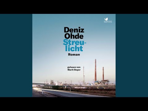 Kapitel 87.2 - Streulicht