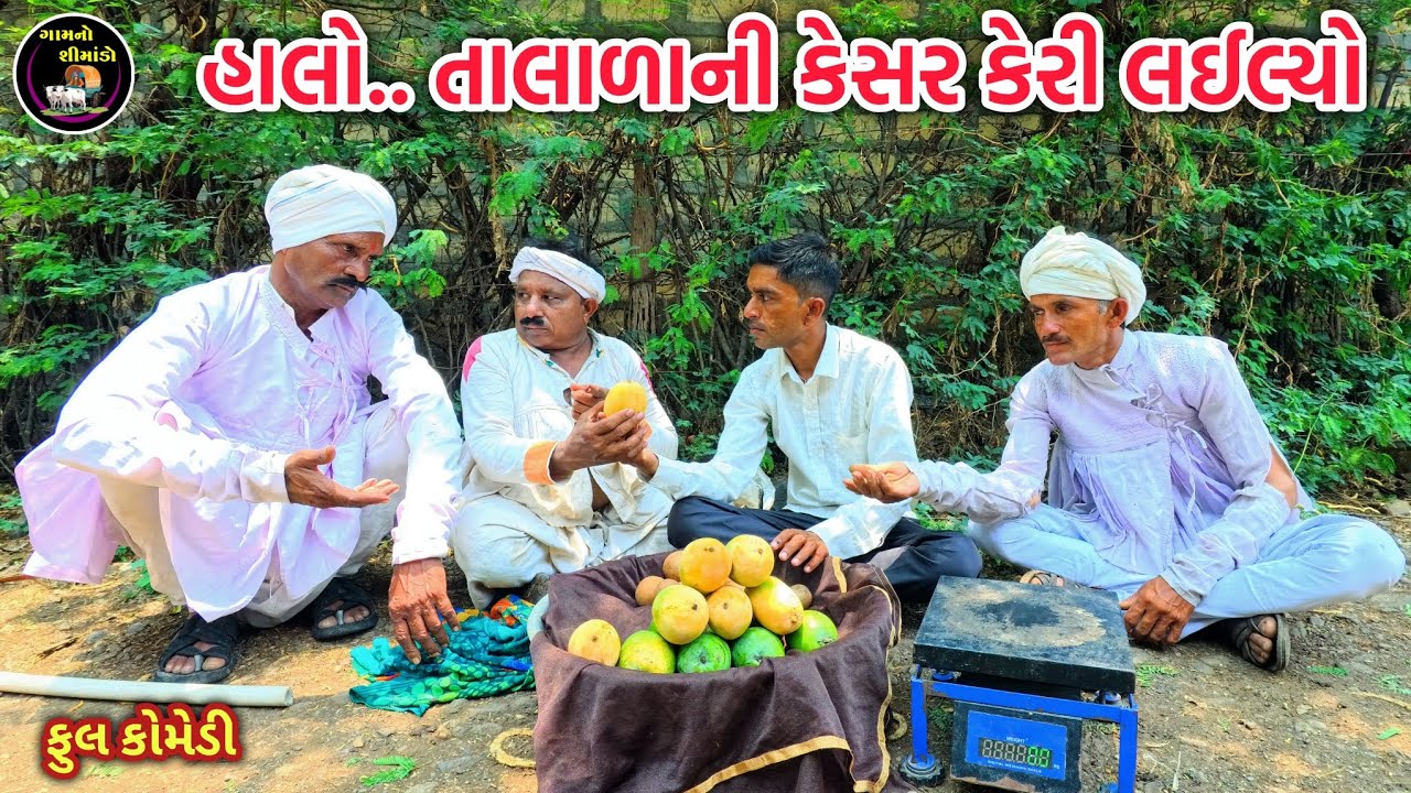 તાલાળાની કેસર કેરી | Talala ni kesar keri | Gamno shimado | Gujarati comedy | comedy video | funny