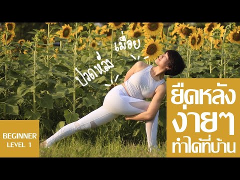 Boodog Yoga- 10min Class EP.1 โยคะเบื้องต้นเพื่อการเหยียดยืดหลังบน หลังกลาง หลังล่าง