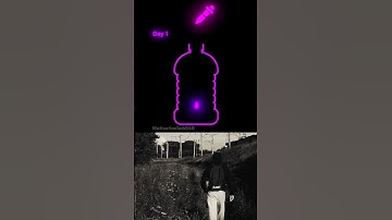 Small wins still count. Keep going! 🌟🎖️ | motivational shorts| #selfimprovement #motivation #shorts