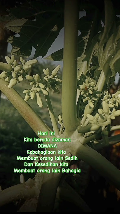 Zaman Berubah#trendingshorts #motivasi #storywa #viralvideo #fyp #music #cover