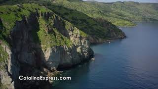 Paradise awaits on Catalina Island