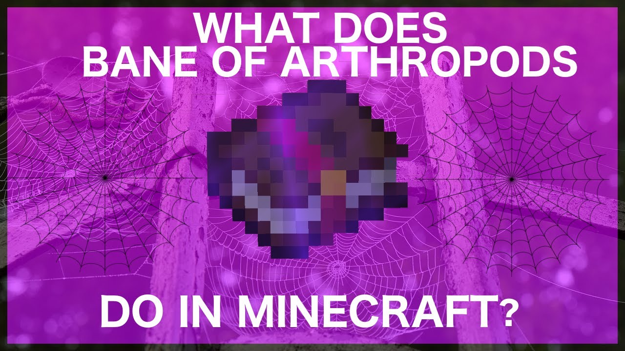 Minecraft Bane Of Arthropods Enchantment What Does Bane Arthropods Do In Minecraft Youtube