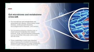iMeta | MetOrigin: integrative analysis of the gut microbiome and metabolome