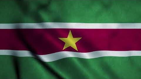 [10 Hours] Suriname Flag Waving - Video & Audio - Waving Flags