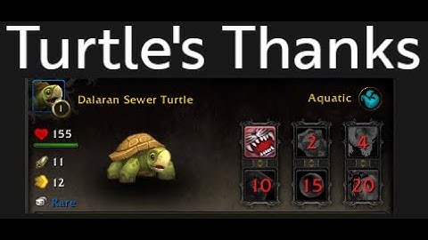 How To Loot The Turtle