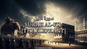 SURAH AL-FIL [THE ELEPHANT] | سورة الفيل |VISUAL REFLECTIONS | MISHARY RASHID ALAFASY |