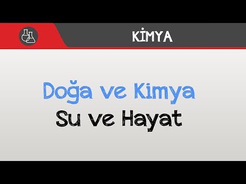 Doğa ve Kimya - Su ve Hayat