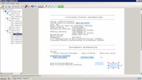Intellidact® Lite for Kofax: User Training part 2 of 2