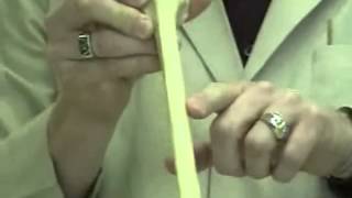 The Humerus