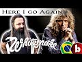 WHITESNAKE - Here I Go Again by Fabricio BamBam (acoustic version)