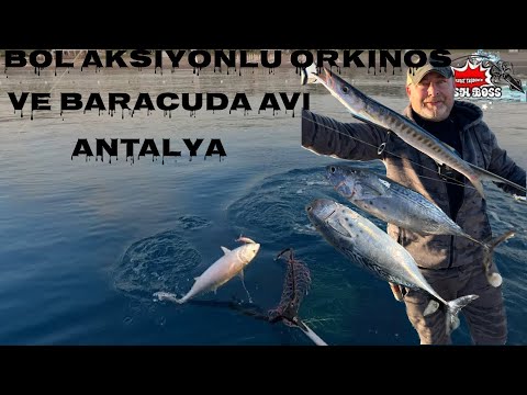 antalya,konyaaltı orkinos ve baracuda avı...!!!