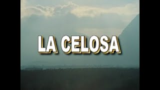 La Celosa - Fusión Vallenata al estilo de Carlos Vives - Karaoke