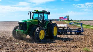 Planting Corn and Pig Farming