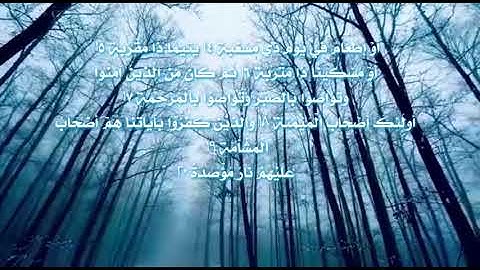 لا أقسم بهذا البلد - سورة البلد - بصوت محمد شودري