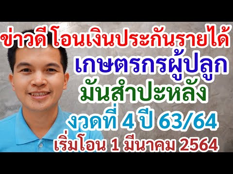 ข่าวดี โอนเงินแล้ว เงินประกันรายได้เกษตรกร ผู้ปลูกมันสำปะหลัง งวดที่ 4 ปี 63/64