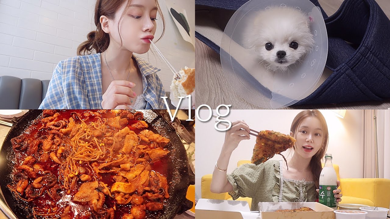 일상 vlog | 장마엔 먹로그☔️ | 모둠전, 옛날도시락, 매운 닭꼬치 &칭따오, 이대팔 쭈꾸미, 애호박전, 주말 브런치 | 설탕이 중성화 수술🥹💕🐾