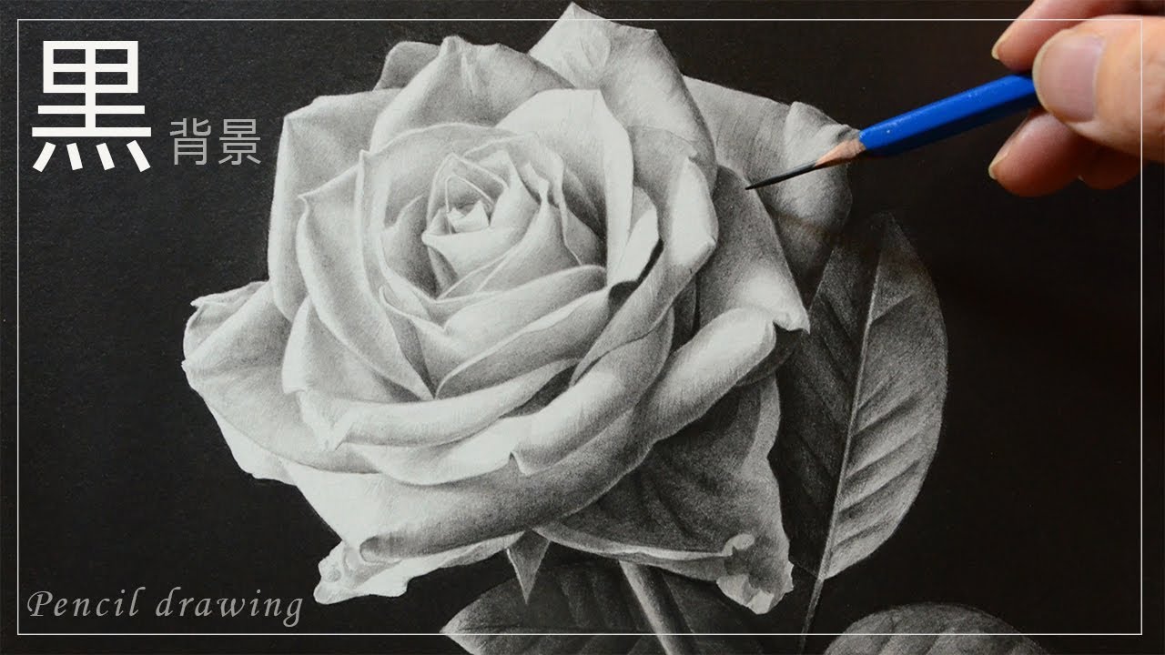 鉛筆画 写実的に薔薇を描く 黒背景 絵画 イラストメイキング Pencil Drawing Youtube