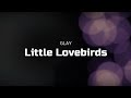 GLAY Little Lovebirds ギター🎸