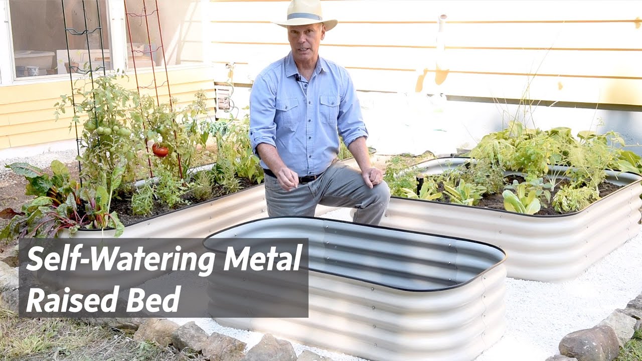 Grow Vegetables With Self Watering Metal Raised Beds Youtube