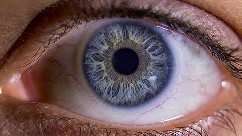 The Window on the Soul - Professor William Ayliffe