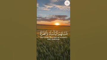 سورة البقرة (214) | وديع اليمني #القرآن #تدبر