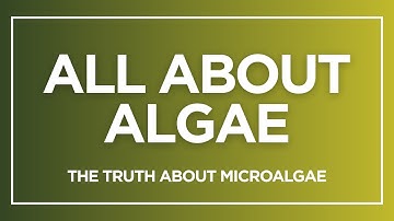 All About Algae: The Truth About Microalgae