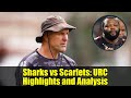 Sharks vs Scarlets: URC Highlights and Analysis | Springboks' Power Prevails