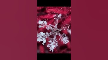 The Magic of Snow: Every Snowflake is One of a Kind