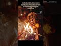 Mouni Mahakumbh Amavasya blessings: Ug & Kaalbhairava homam #mahakumbh #amavasya #shorts