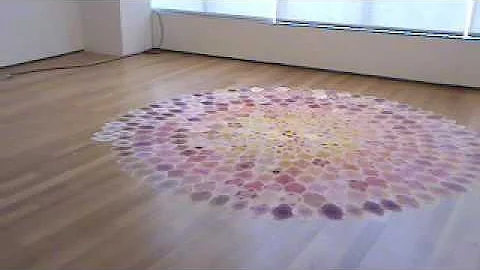 Comic Abstraction: Polly Apfelbaum installs Blossom