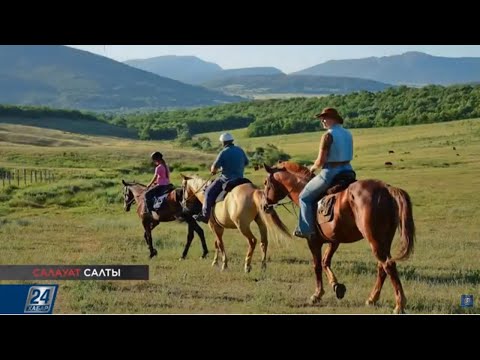 Бейне: Клайдсейл жылқы тұқымы гипоаллергенді, денсаулық және өмірдің ұзақтығы