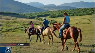 Жылқының адам денсаулығына қандай пайдасы бар? | Салауат салты