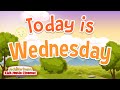 Wednesday Learning Quiz