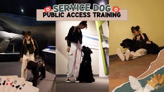 SERViCE DOG PUBLIC ACCESS TRAiNIING ‍