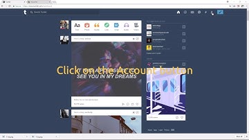 Adding a SnapWidget Instagram widget to you Tumblr website