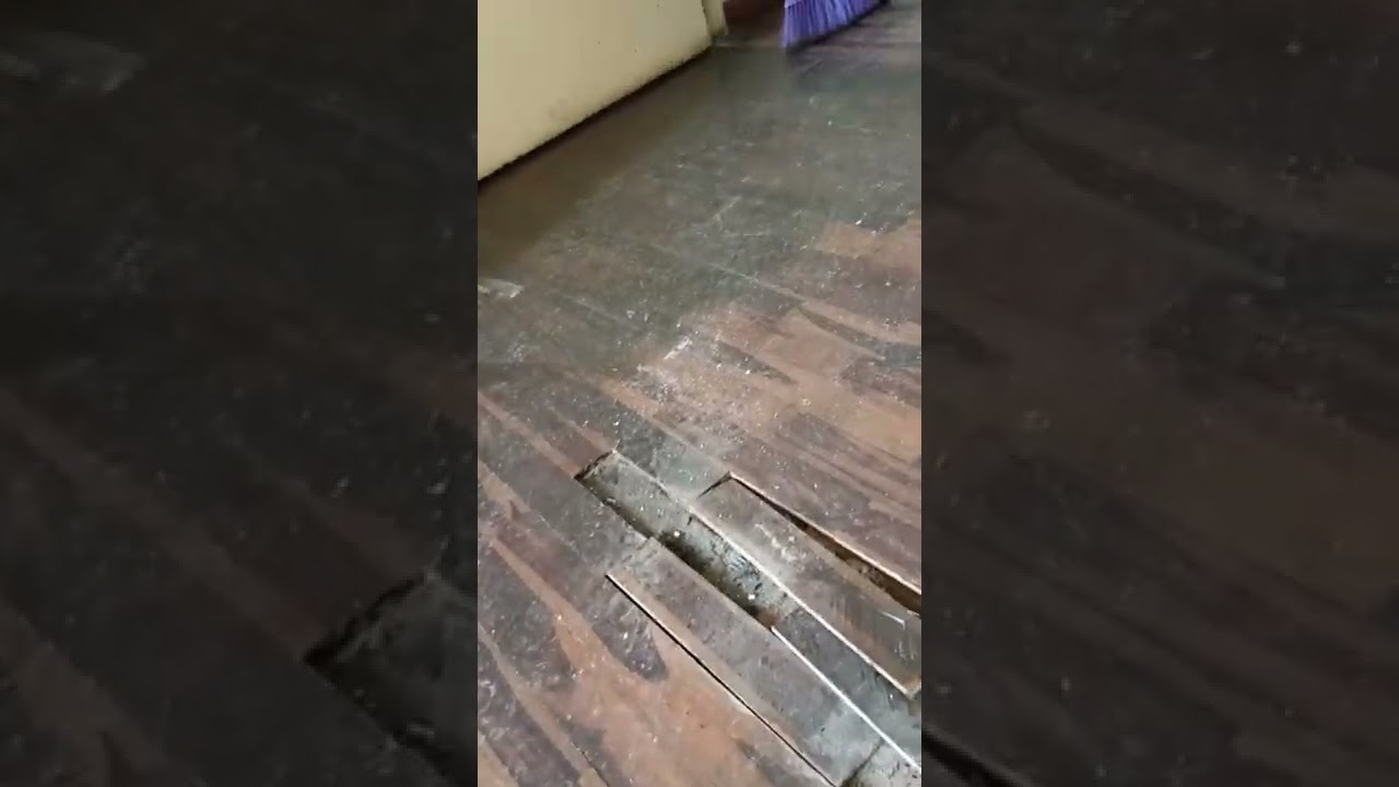 reparación de piso de parquet madera oreja de león 