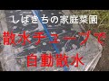 家庭菜園 散水チューブで自動散水 2021年08月07日