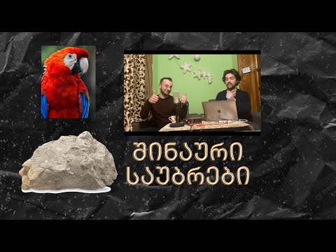 შინაური საუბრები - უაზრო საუბარი საინტერესო დეტალებით