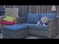 20250226 Bonnie rubbing up on backyard furniture 14 27 54