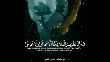 قرآن كريم بصوت القارئ  مشاري العفاسي 🎧❤   أجمل حالات واتس اب دينيه    تلاوة خاشعة 🌿HD