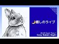 【癒しライブ】うさぎのウルフねむねむ定点 🌙 まったり夜時間|Cozy Rabbit Night (No Talk)