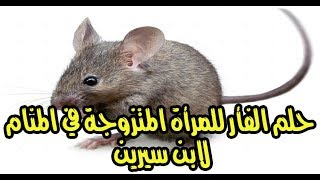 تفسير حلم الفئران الصغيرة والمتوسطة