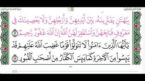 سورة الممتحنة من ١٠ الى ١٣ القارئ إبراهيم الاخضر