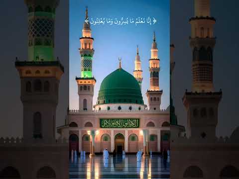 القرآن الكريم القارئ محمد هشام سورة يس