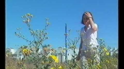 A Holistic-Phenomenological Approach to Architecture