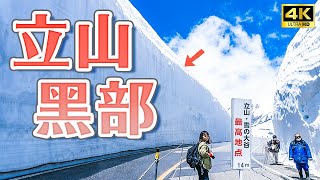 2022 Tateyama Kurobe! 18 meters tallest in 5 years｜Japan Travel 4K VLOG screenshot 4