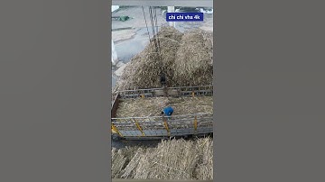 kỹ năng cẩu hàng an toàn hiệu quả trong khu công nghiệp